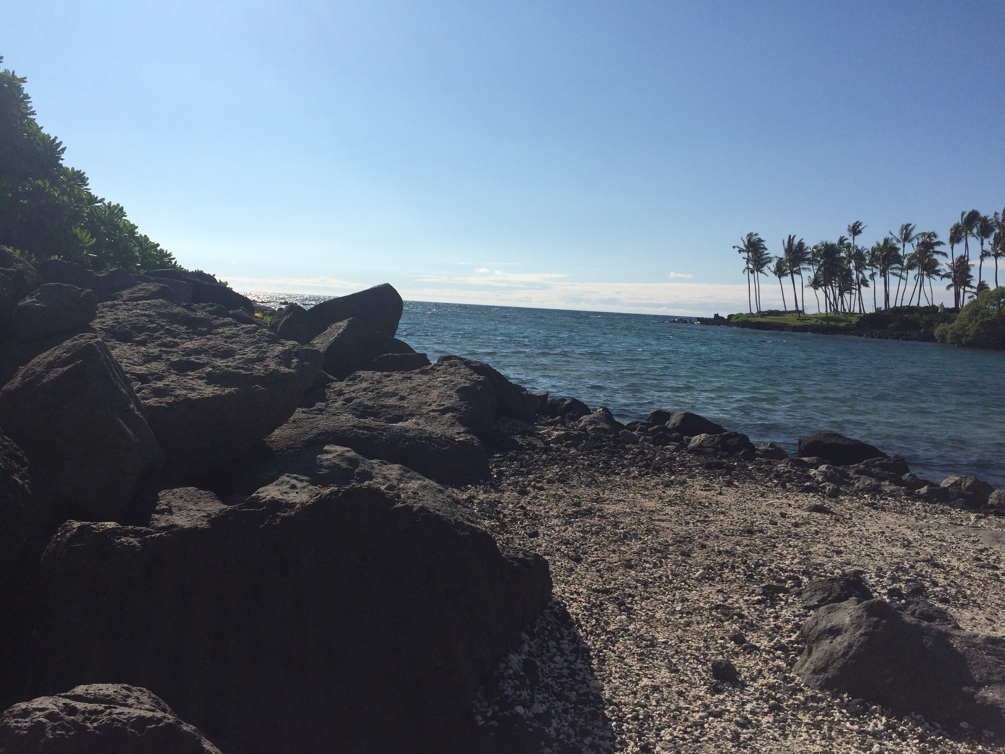 Black lava rocks dominate much of the landscape in certain areas of the island of Hawaii. This alien landscape is what makes Hawaii an ideal location for a mock Mars mission.