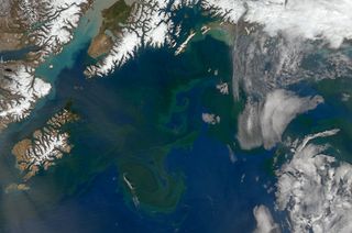 A phytoplankton bloom in the Gulf of Alaska on May 9, 2014.
