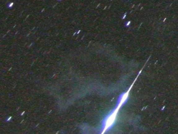 Perseid Shower