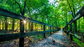 Sunrise On A Hiking Tail Natchez Trace Parkway, Tupelo, Mississippi