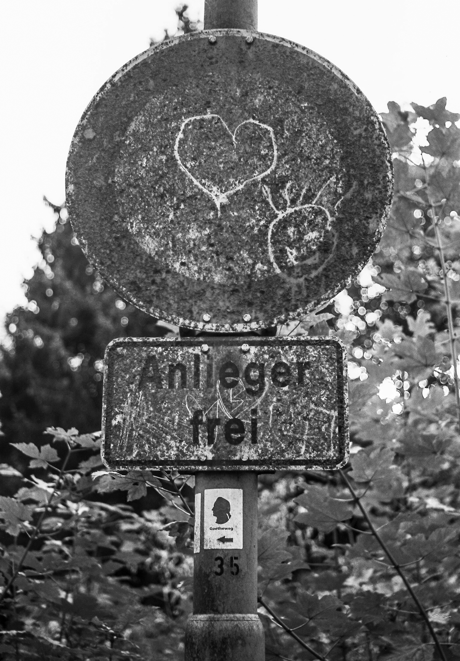 Leica Monopan 50 film samples