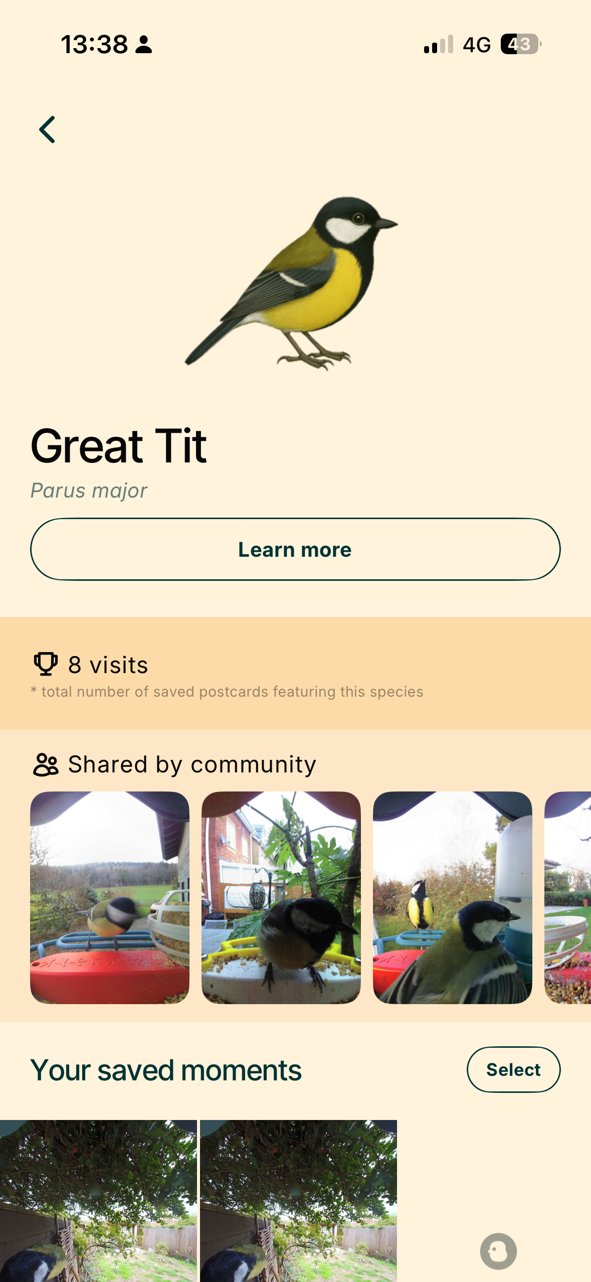 Pantallas de la app Bird Buddy