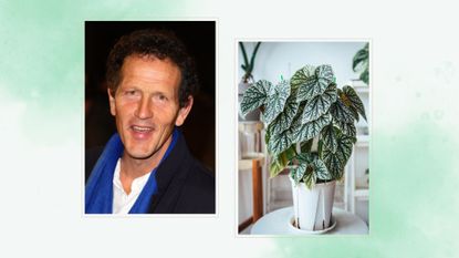 composite of Monty Don and a houseplant lifestyle shot to support Monty Don's houseplant advice