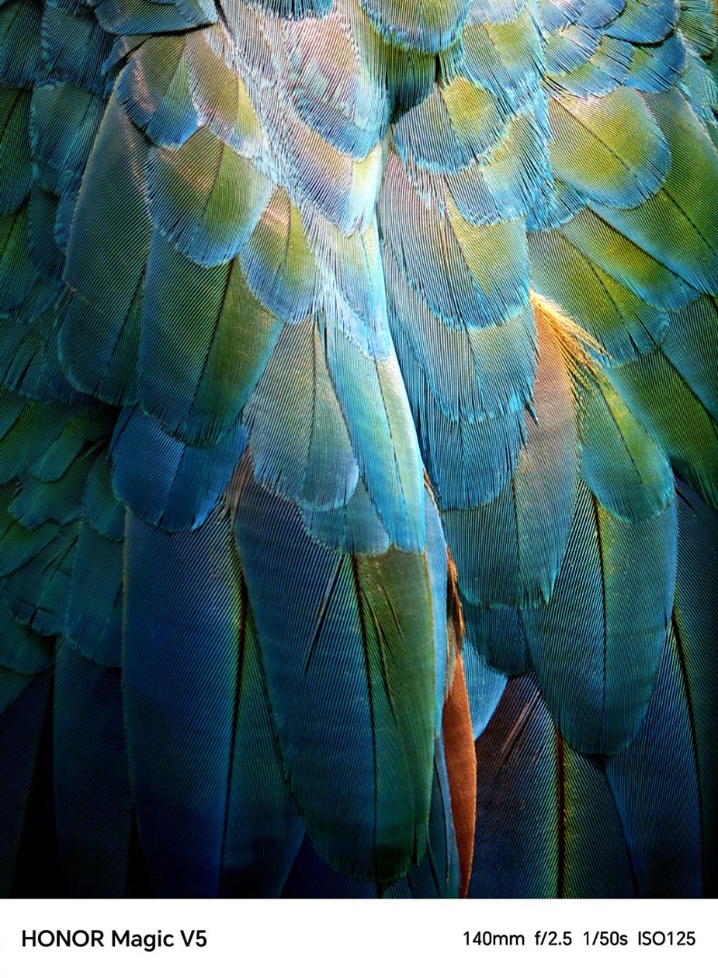 Honor Magic V5 photo samples