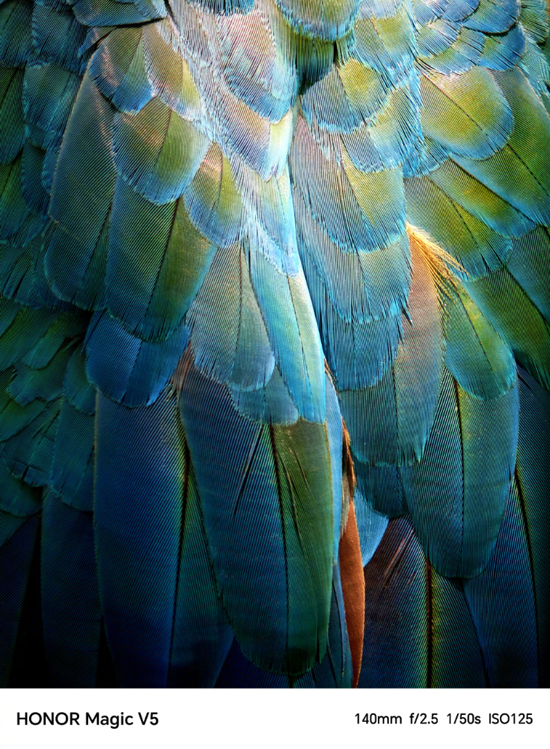 Honor Magic V5 photo samples