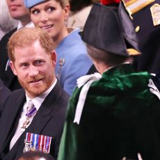 Prince Harry and Princess Anne at the Coronation