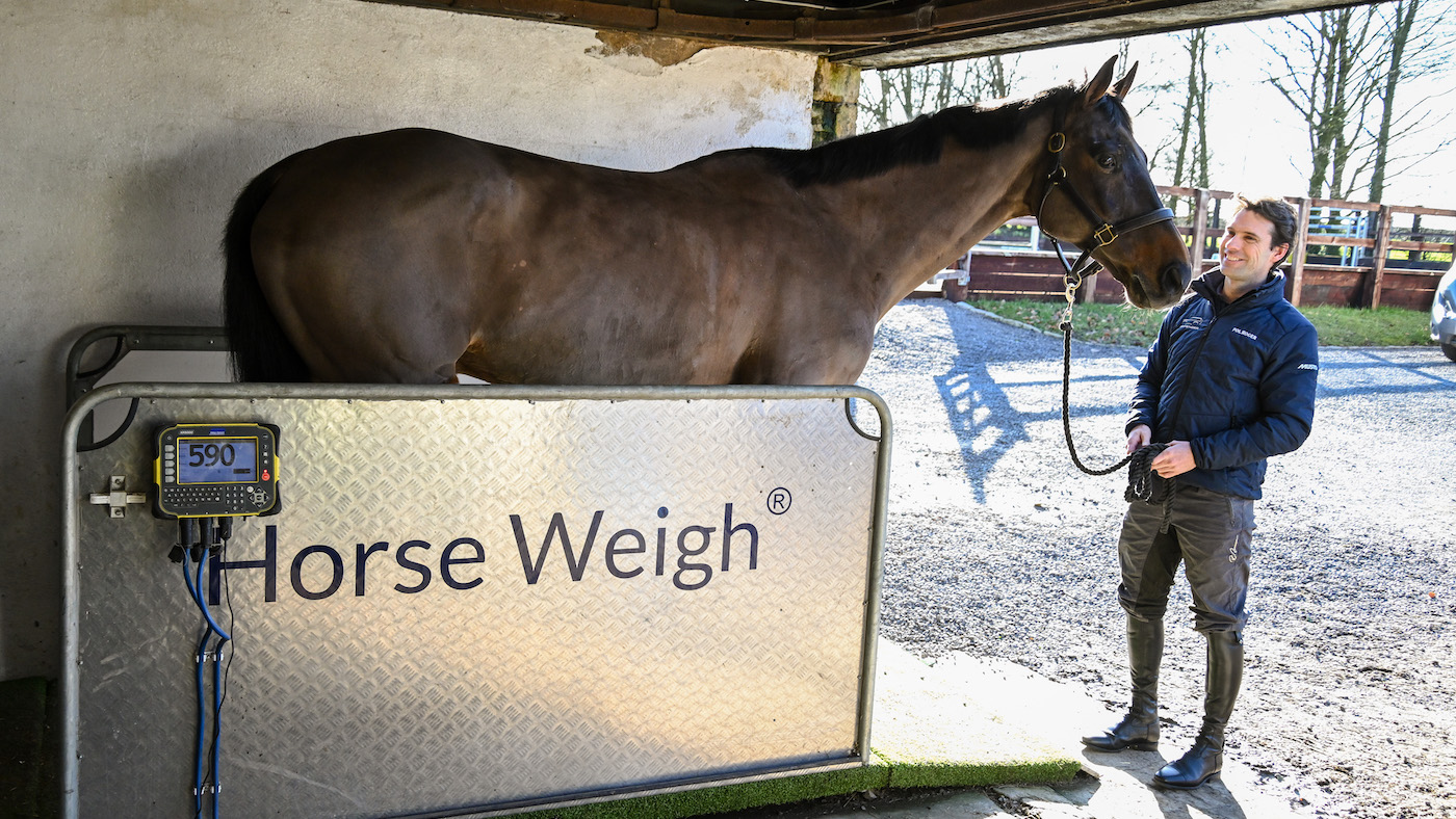 Horse on weigh bridge, which plays a part in Harry Meade's feeding routine