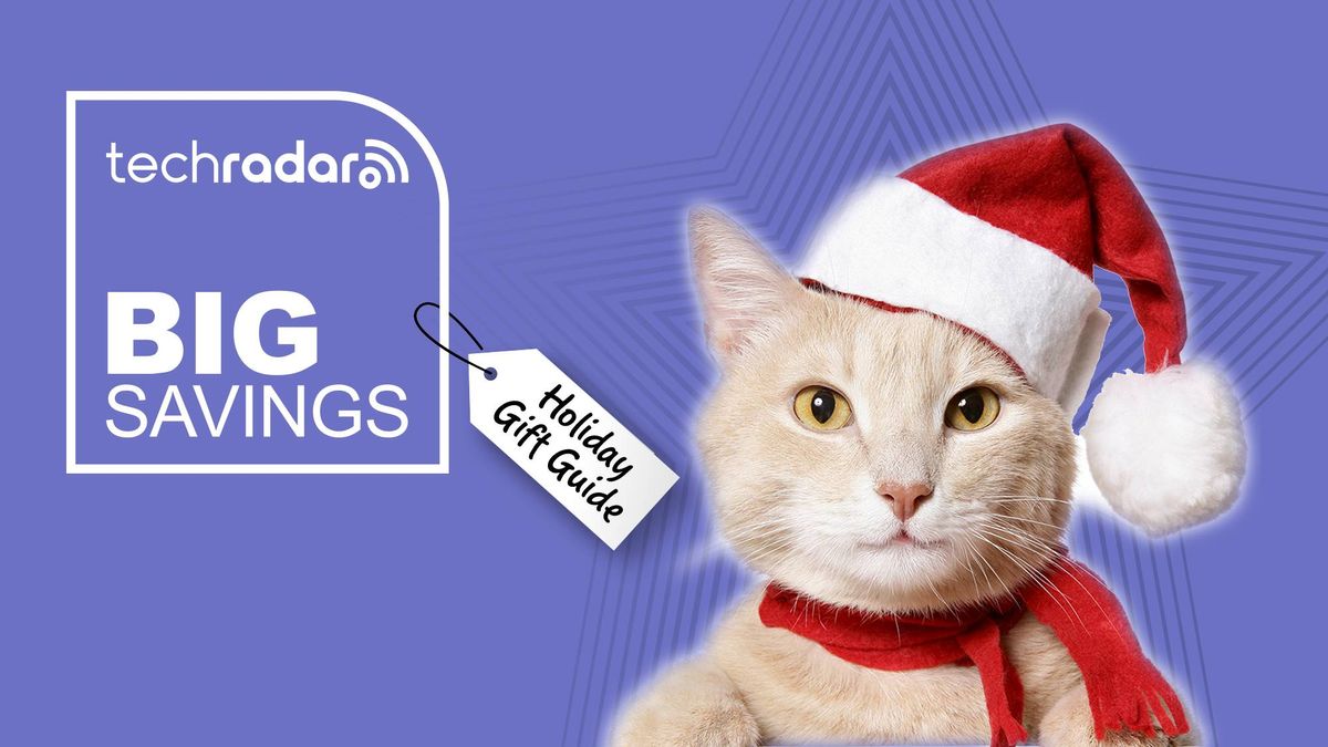 Cat lover gift ideas: the ultimate gift guide for the cat parents in your life