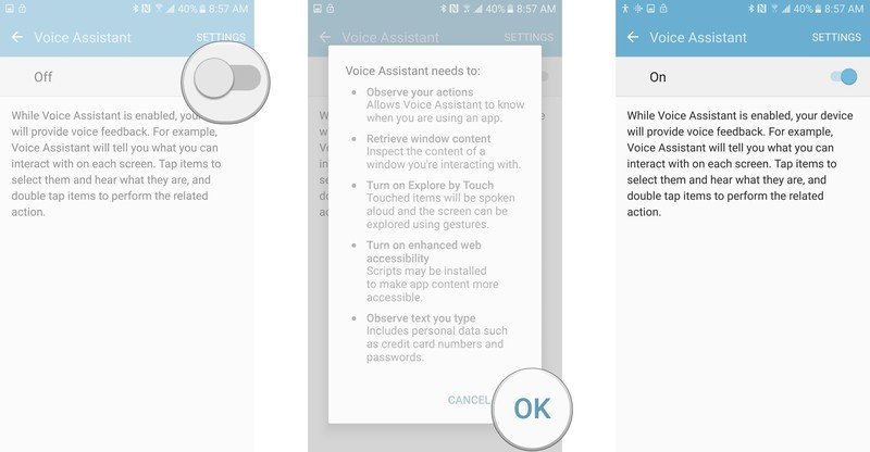 Tap the switch to turn Voice Assistant on