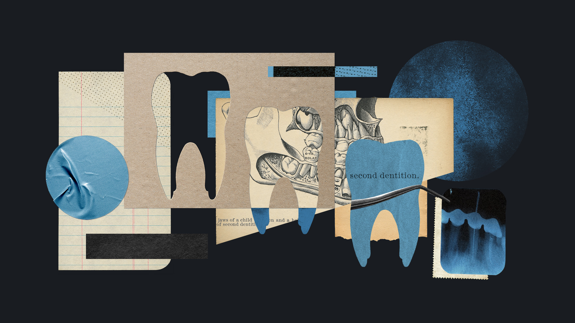 Photo collage of bits of paper with teeth cut out of them, diagrams and photos of teeth