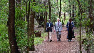 King Charles III is guided on a 700m forest walk to a tree planting site during a visit to Karura urban forest to highlight the crucial role of green spaces and forests in sustainable cities and to honour the legacy of Nobel Peace Prize winner Professor Wangari Maathai, on November 01, 2023 in Nairobi, Kenya. King Charles III and Queen Camilla are visiting Kenya for four days at the invitation of Kenyan President William Ruto, to celebrate the relationship between the two countries. The visit comes as Kenya prepares to commemorate 60 years of independence.