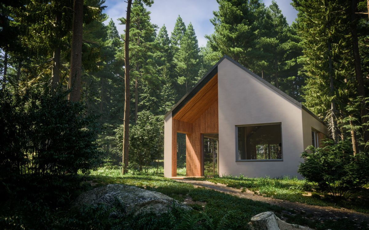 Nutrient neutrality laws affecting an empty self build in a forest