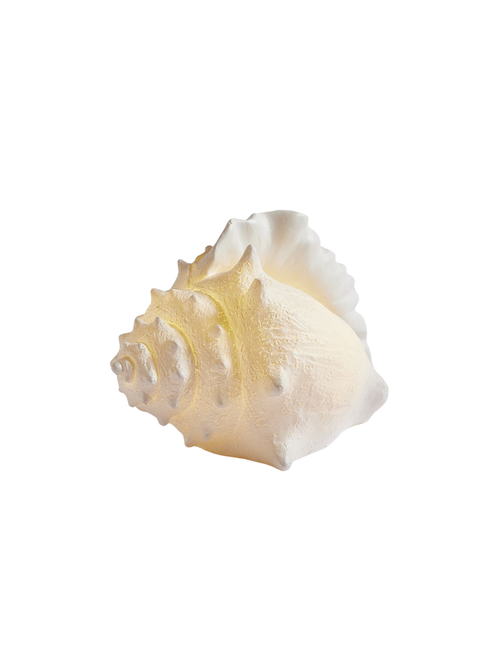 Lit Conch Shell