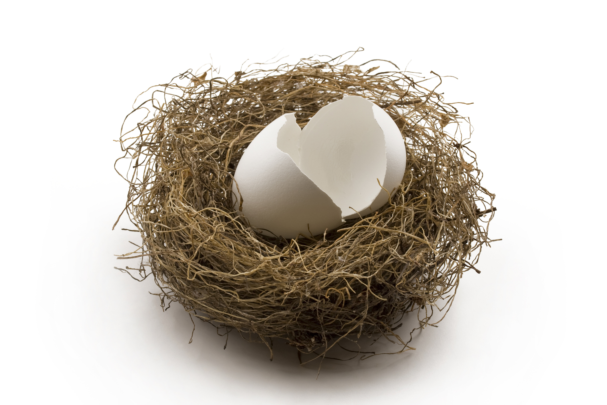 white broken egg shells in the nest. Concept of finance, broken personal savings, retirement or investment.