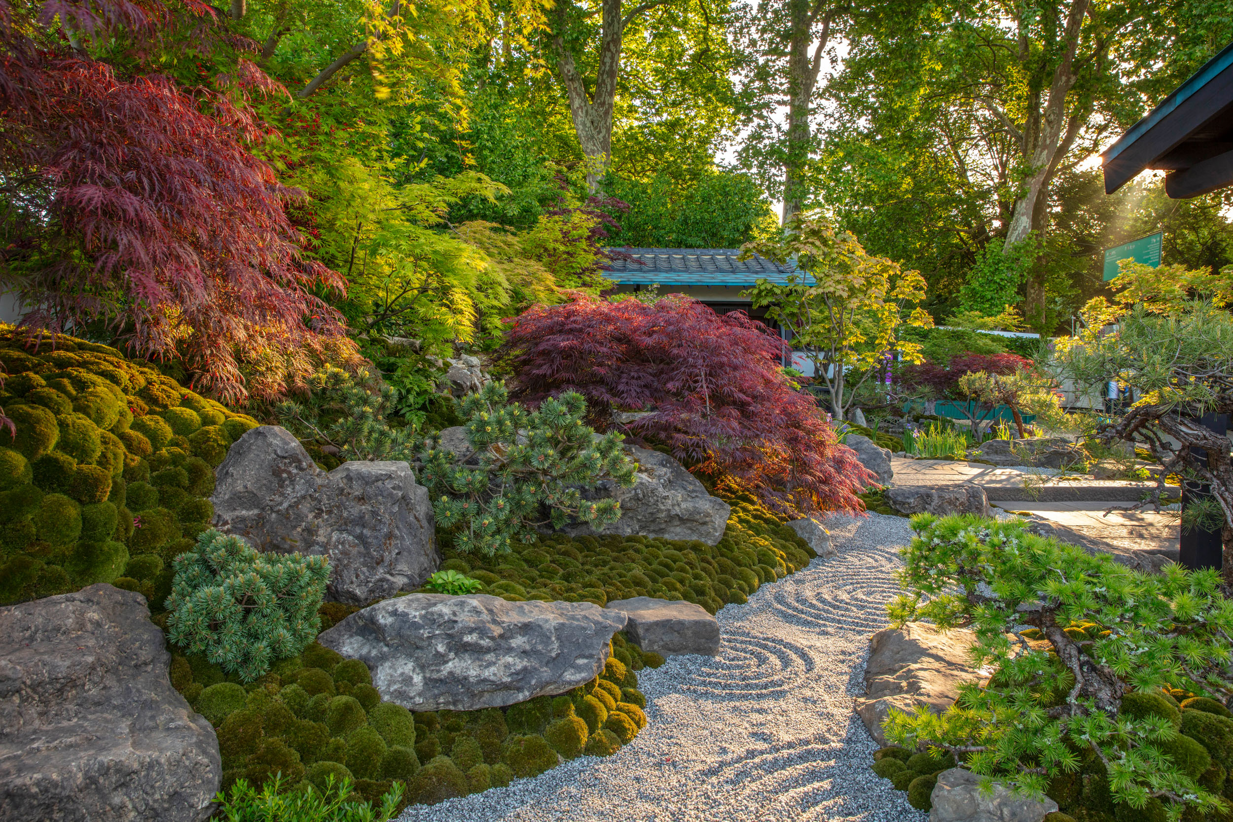 Tokonoma Garden &amp;ndash; Sanumaya no Niwa at RHS Chelsea Flower Show 2026