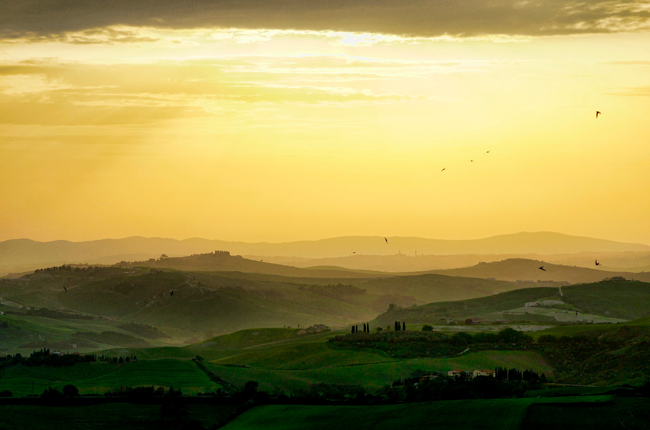 . Tuscan landscape. Le Serre Nuove dell'Ornellaia