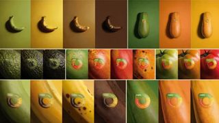Colour gradient fruit stickers