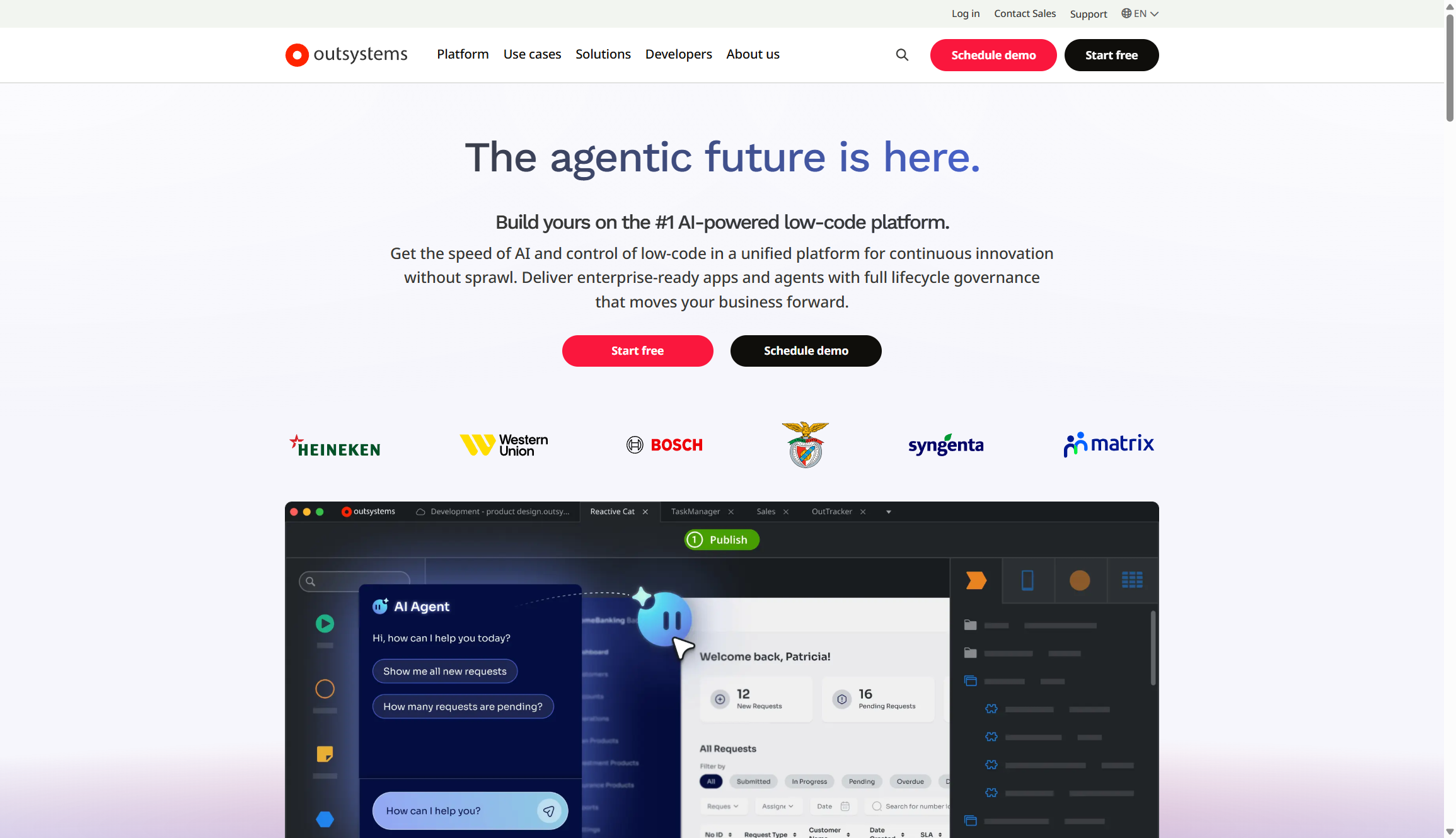 screenshot of vibe coding platform being used