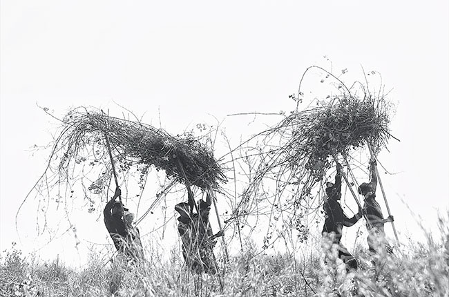 Will Punt, Uplifting