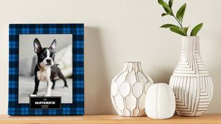 dog dad gifts portrait