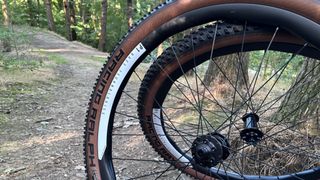 Singularis M30 wheelset side on with wavy design feature