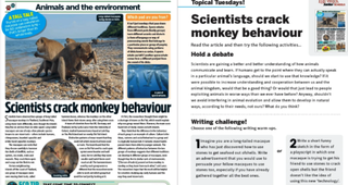 Topical Tuesdays Article Monkeys