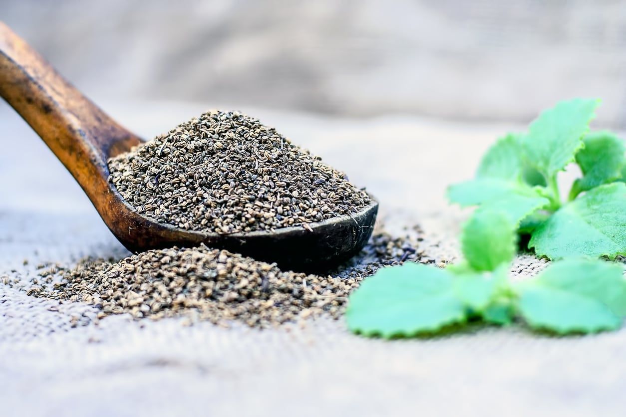 Wood Spoon Full of the Indian Herb Ajwain Next to Mint Leaves