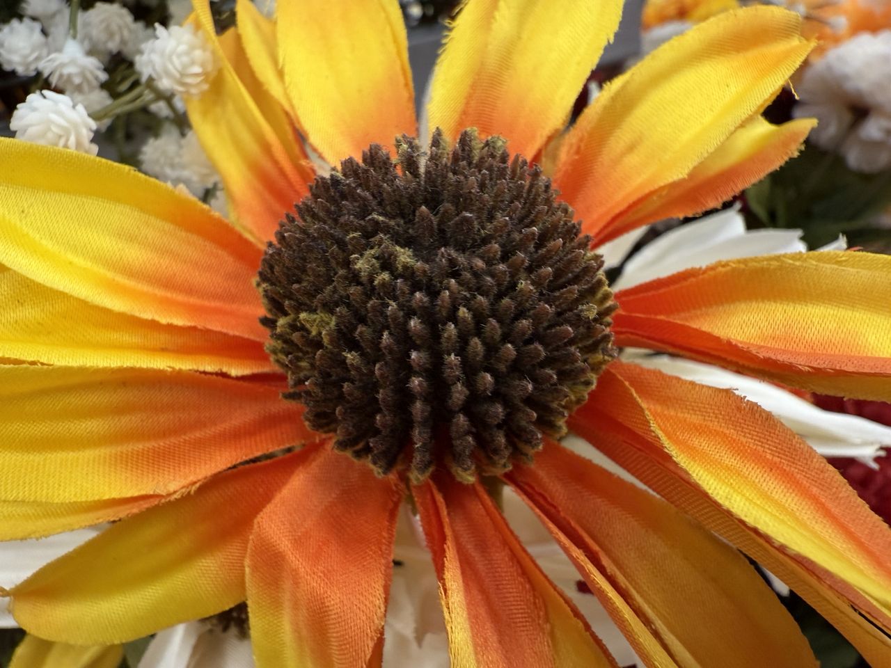 Apple iPhone 16 Pro Max macro sample.