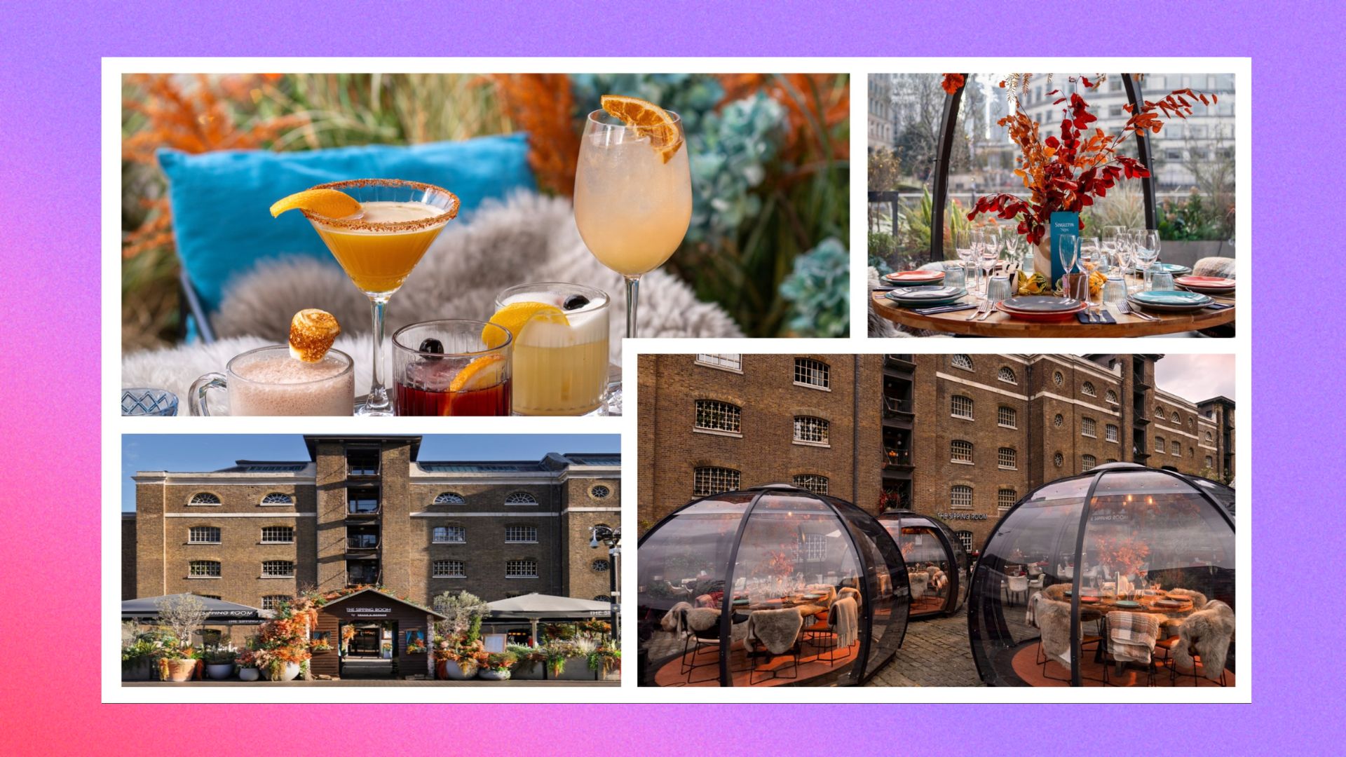 Singleton Sips four images sliced together. The images are of cocktails in the top left, the location in the bottom left, igloos in the bottom right and inside one of the igloos in the top right