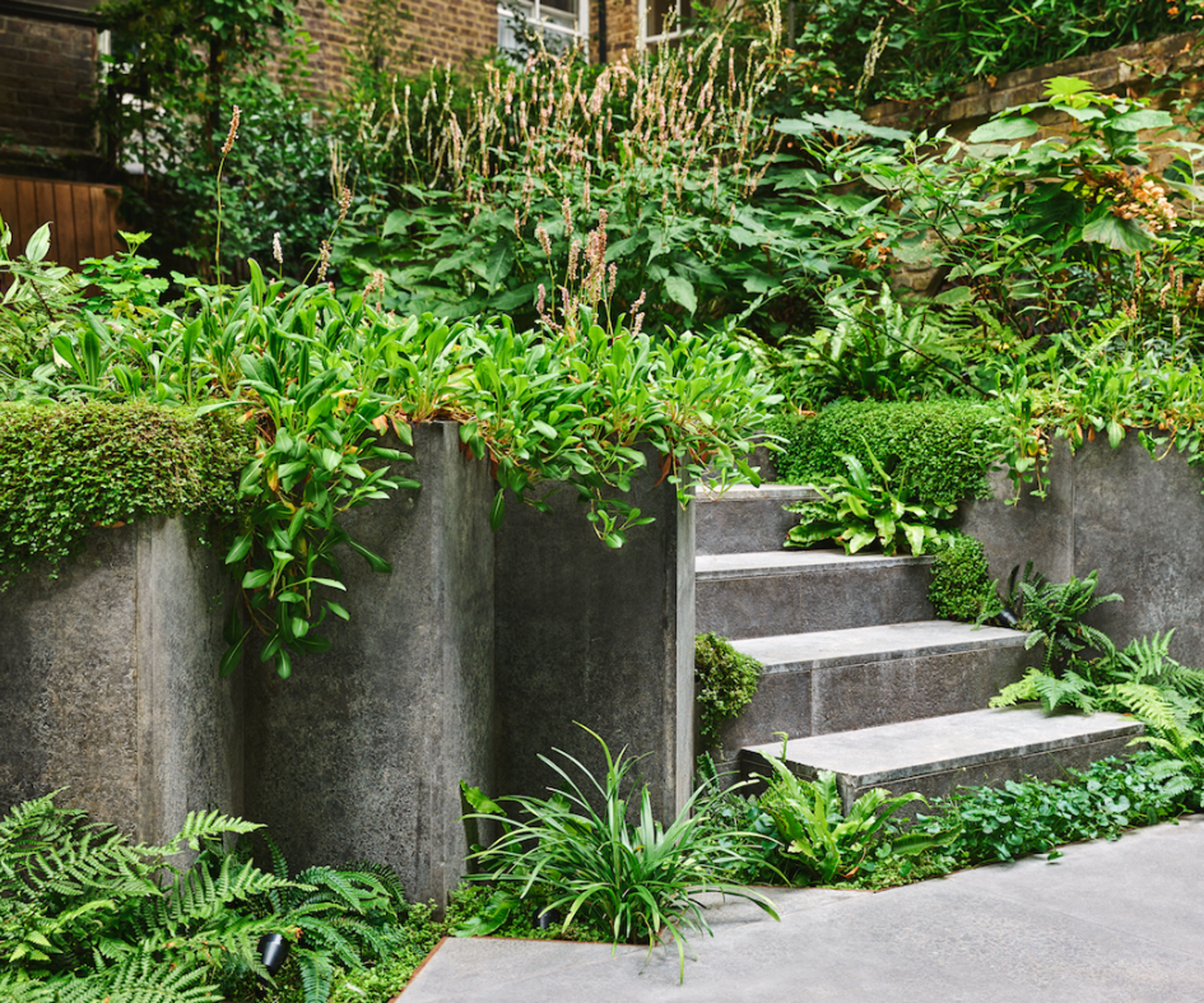 stone hardscaping with zig zag walls and garden steps, planted with ferns, ivy and groundcover plants