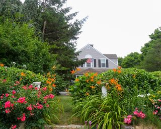 Flowers in front of a home in Barnstable Village, Massachusetts, USA