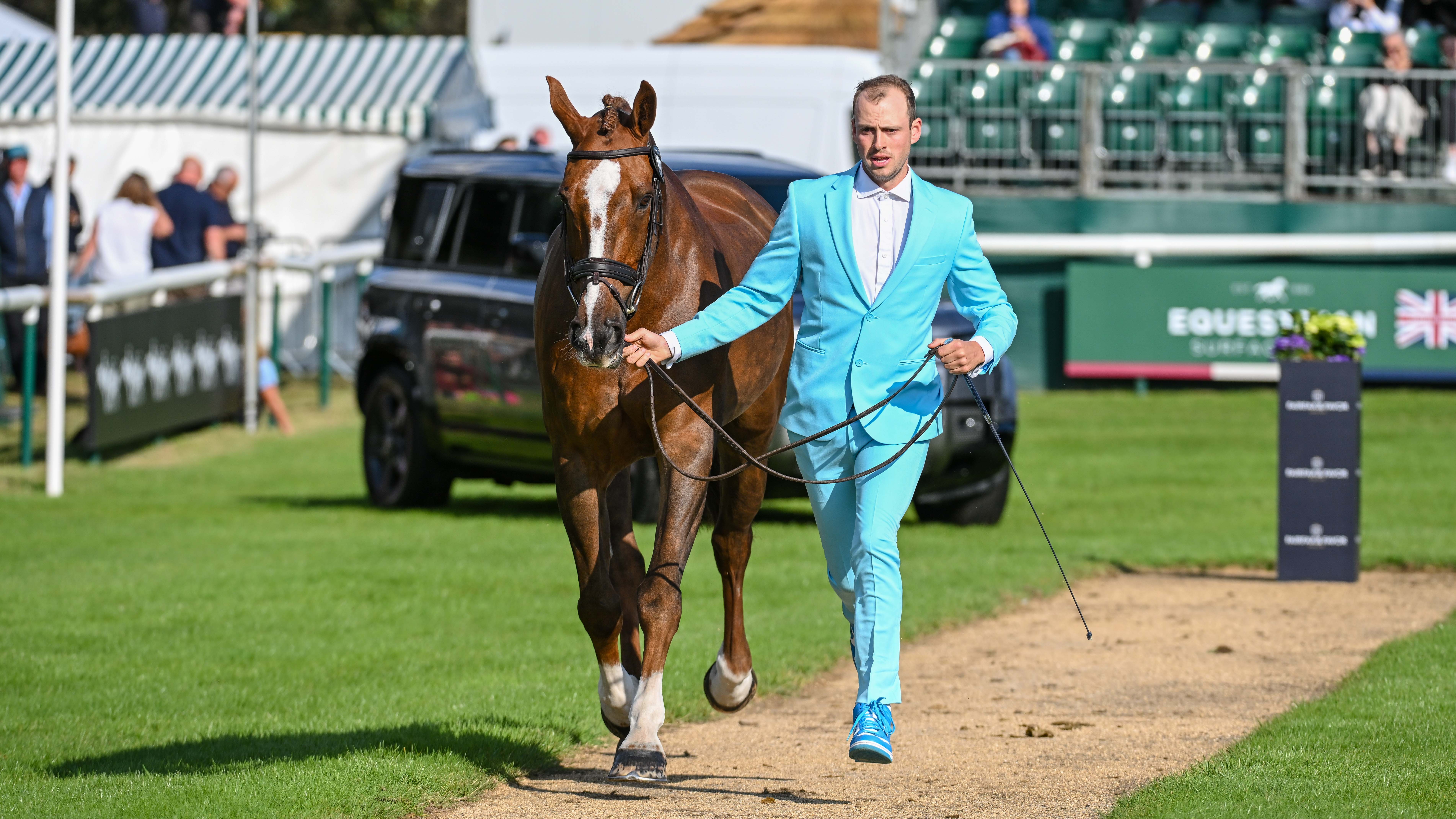 Burghley Horse Trials trot-up photos: Tom Rowland