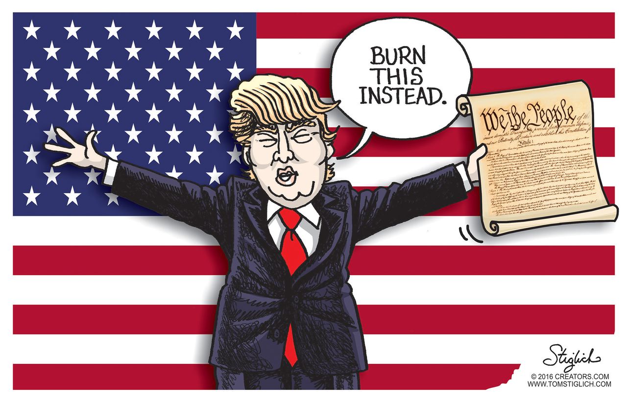 Political cartoon U.S. Donald Trump burning flags