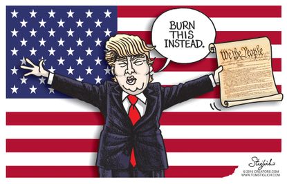 Political cartoon U.S. Donald Trump burning flags