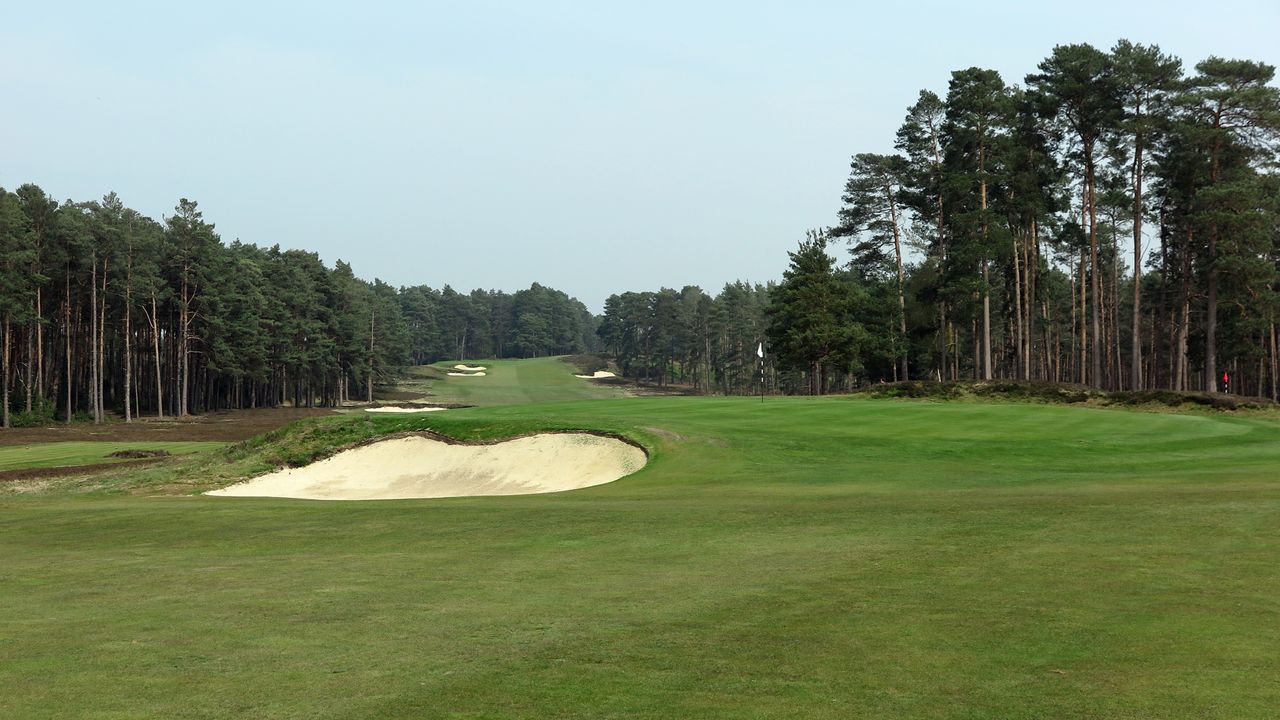 Swinley Forest - Hole 11