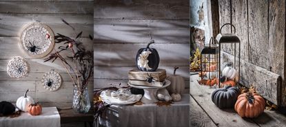 pumpkins painted black and decorated with spiders for halloween and lace spider webs