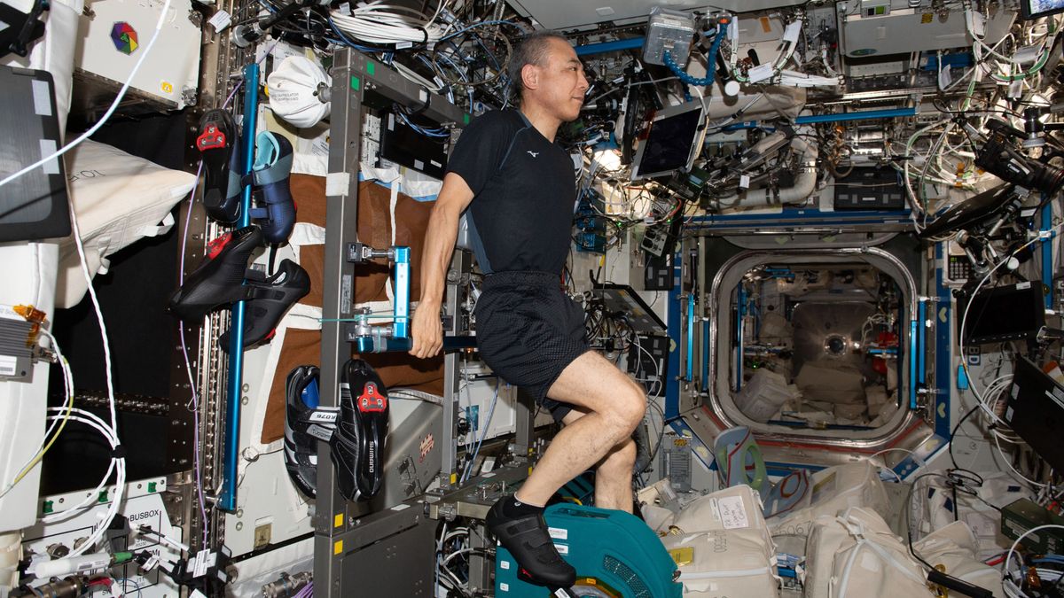 an astronaut in shorts and a t shirt uses an exercise bike on board the international space station