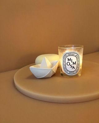 Mimosa candle