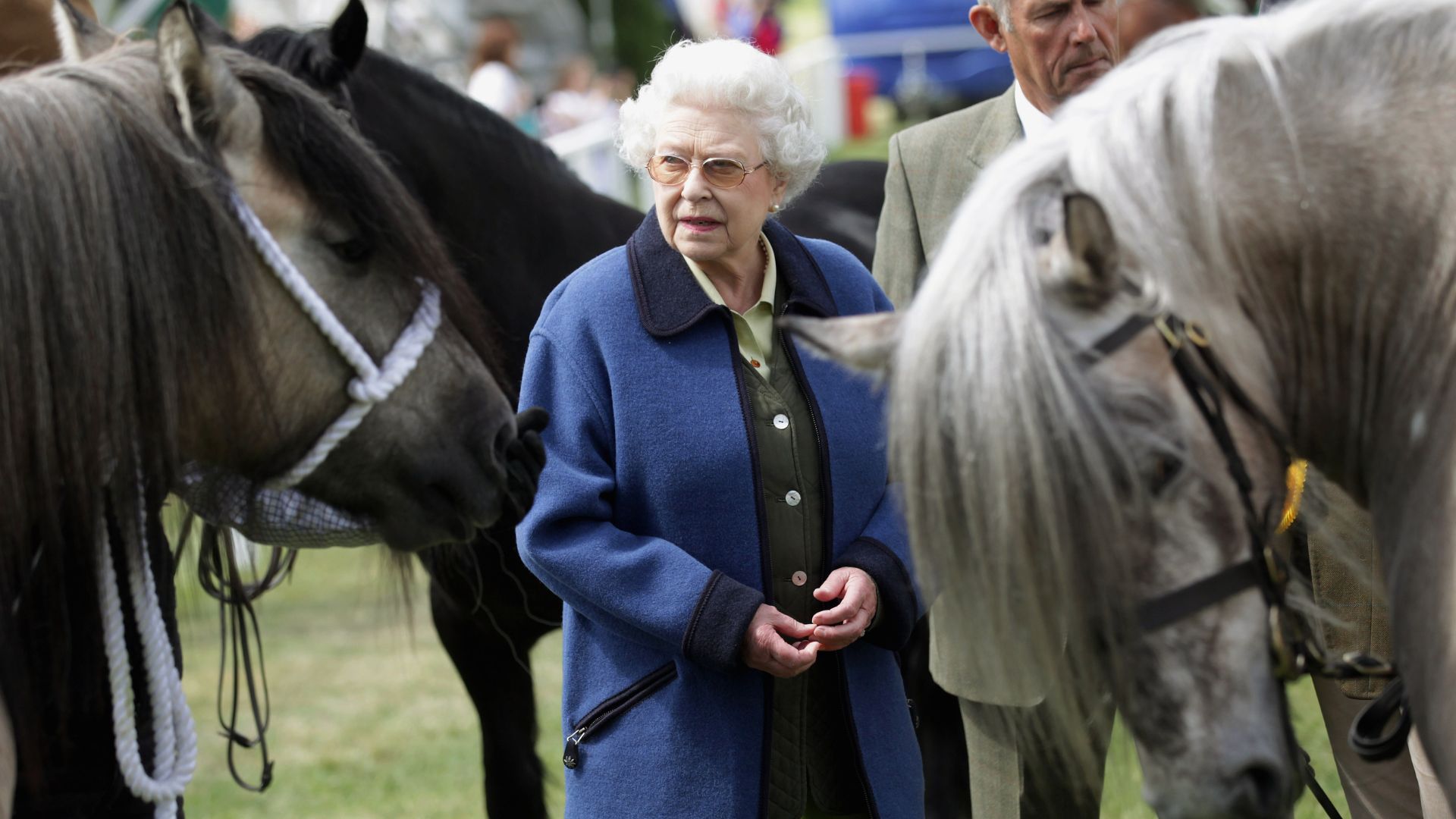 Queen Elizabeth II with horses