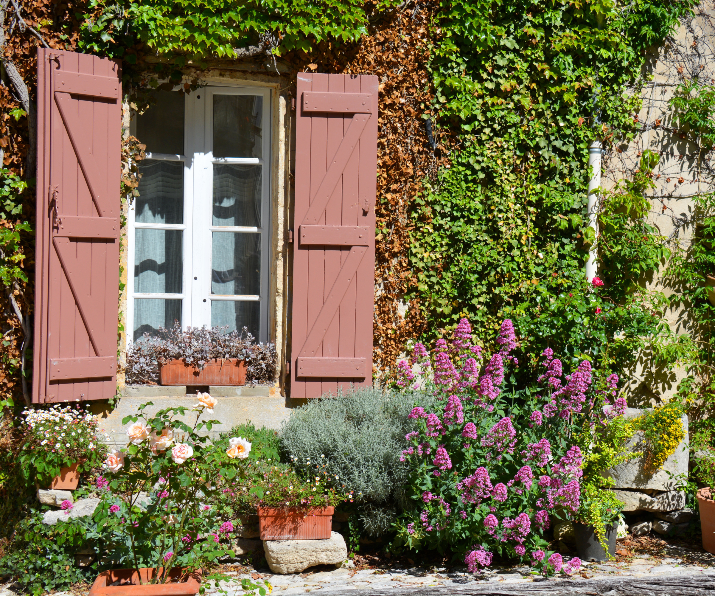 View of a flowered house in a little village in Luberon Provence South of France