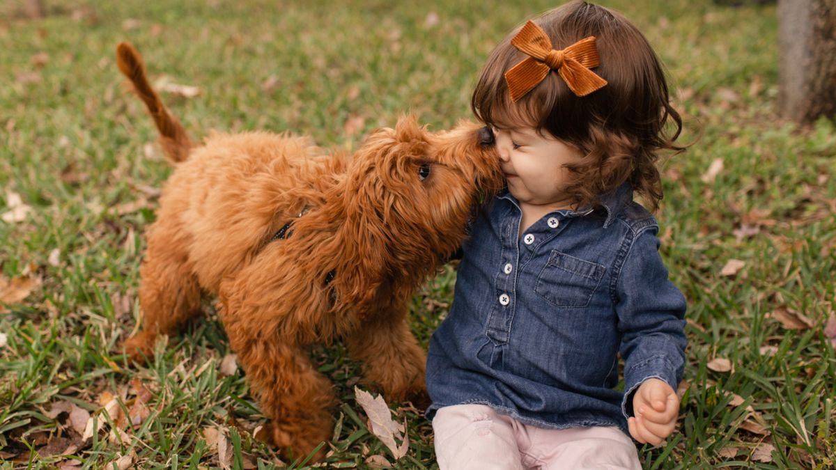 Toddler and puppy