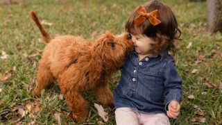 Toddler and puppy