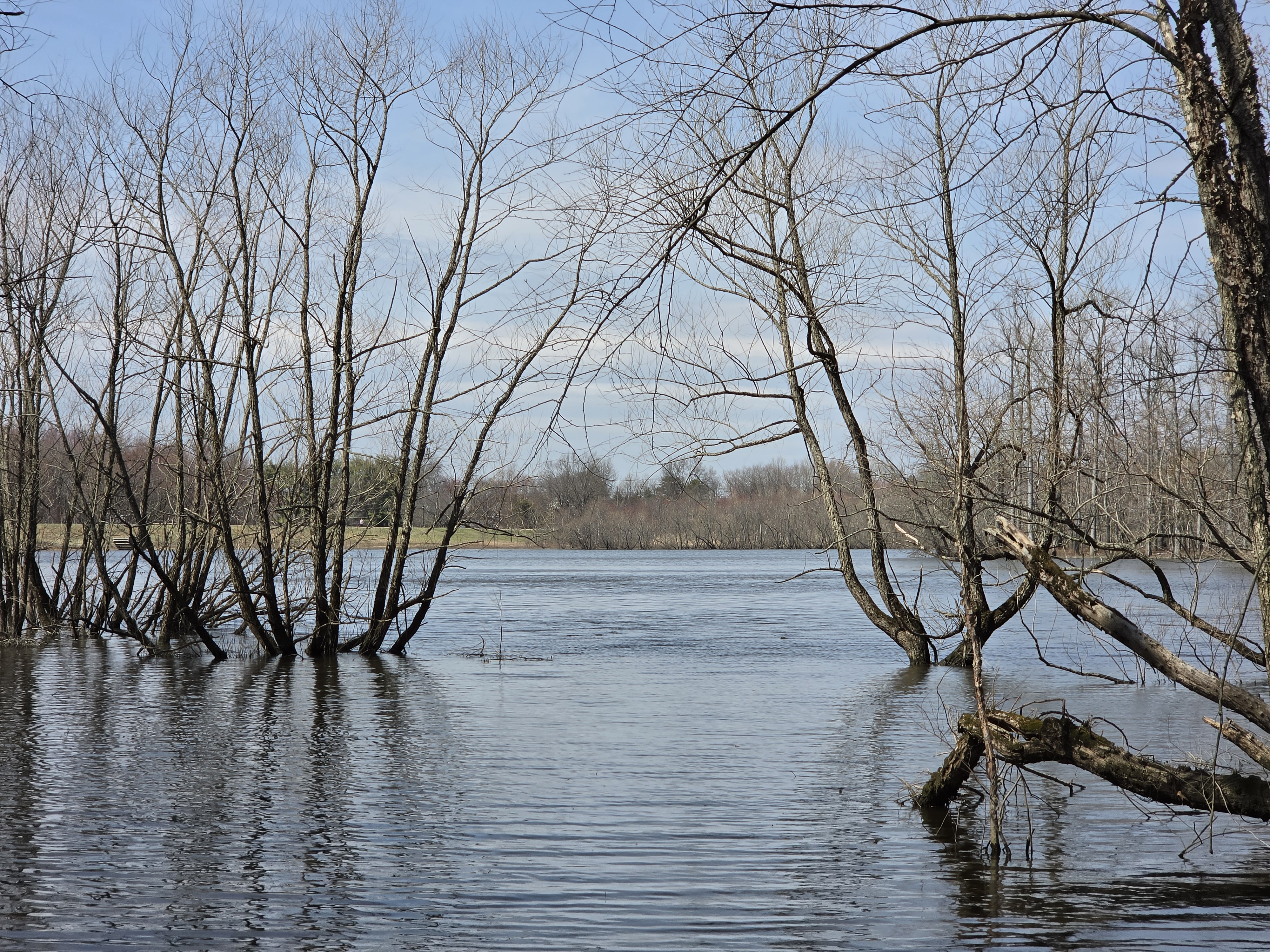 Samsung Galaxy S26 Plus camera samples