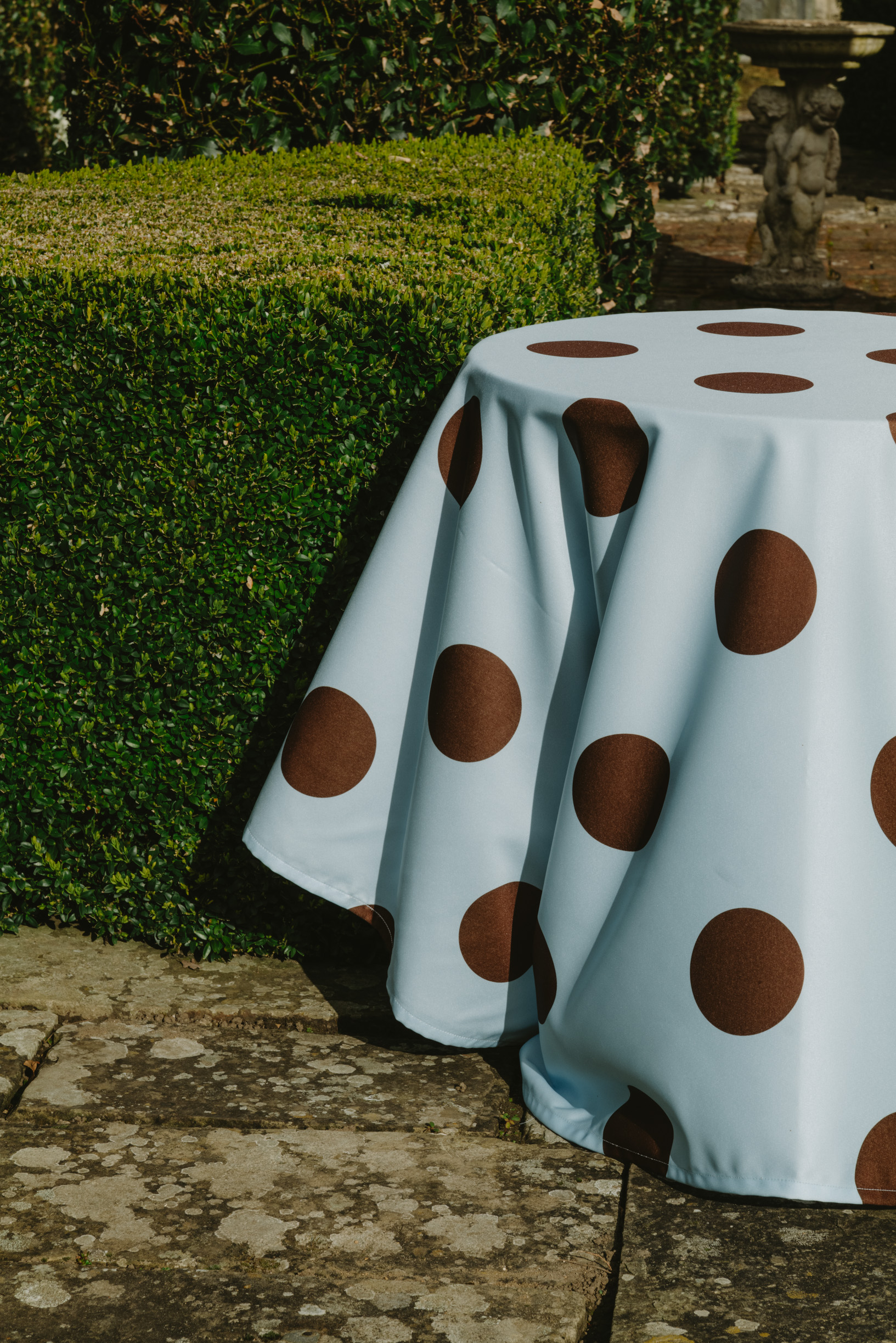 Image of a light blue and brown polka dot tablecloth on a table outside in a garden.