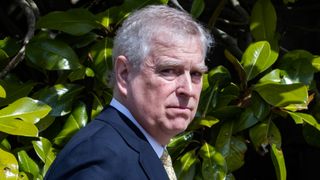 Prince Andrew has grey hair and looks downcast as he wears a suit and stands in front of a hedge