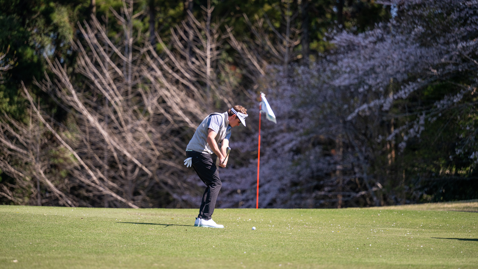 MJ Maguire hits a chip shot