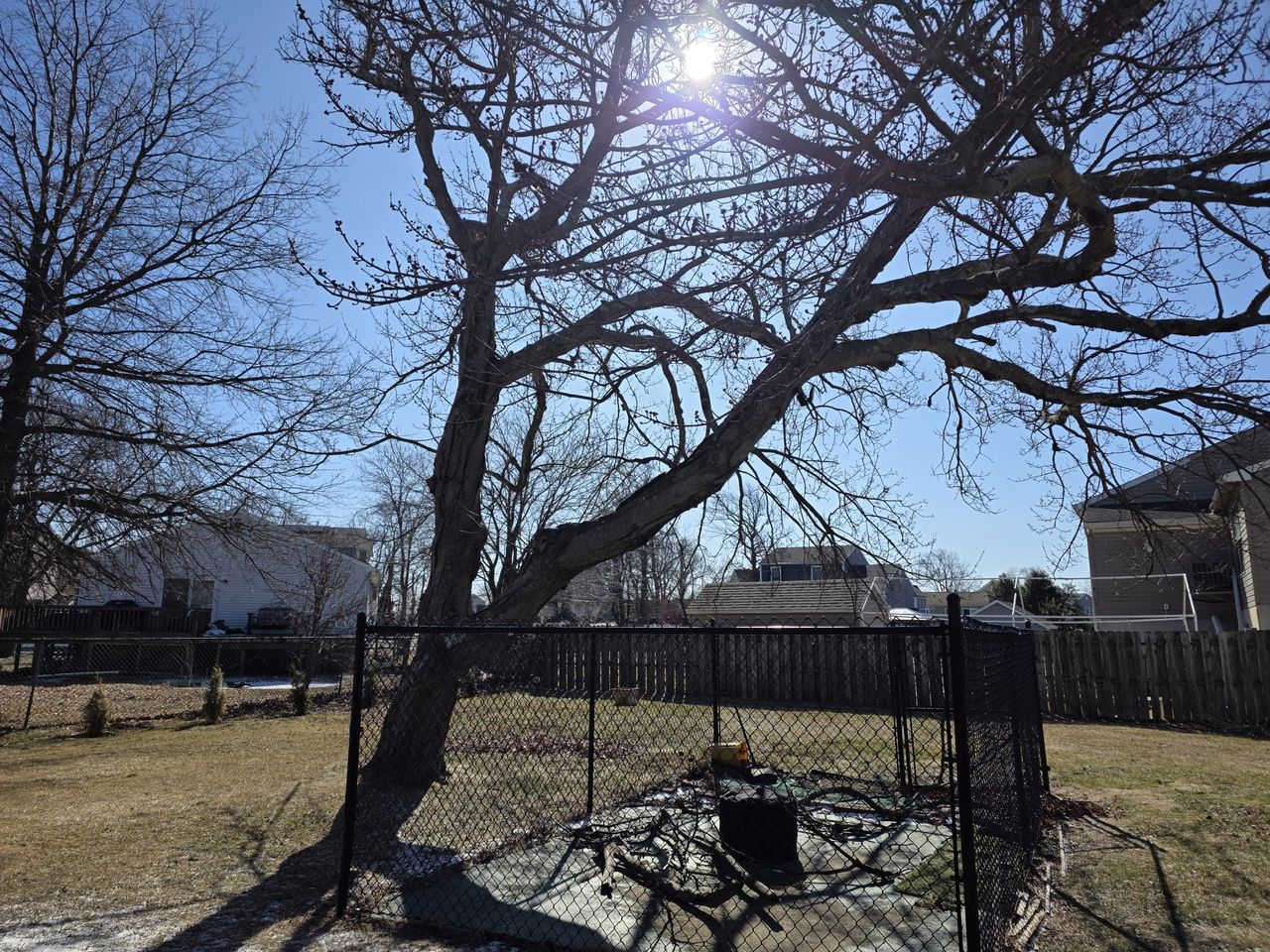 Samsung Galaxy S25 Ultra dynamic range sample.