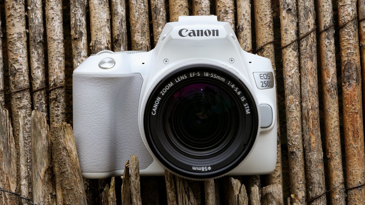 Canon EOS Rebel SL3 / EOS 250D on a bamboo surface
