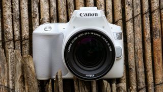 Canon EOS Rebel SL3 / EOS 250D.