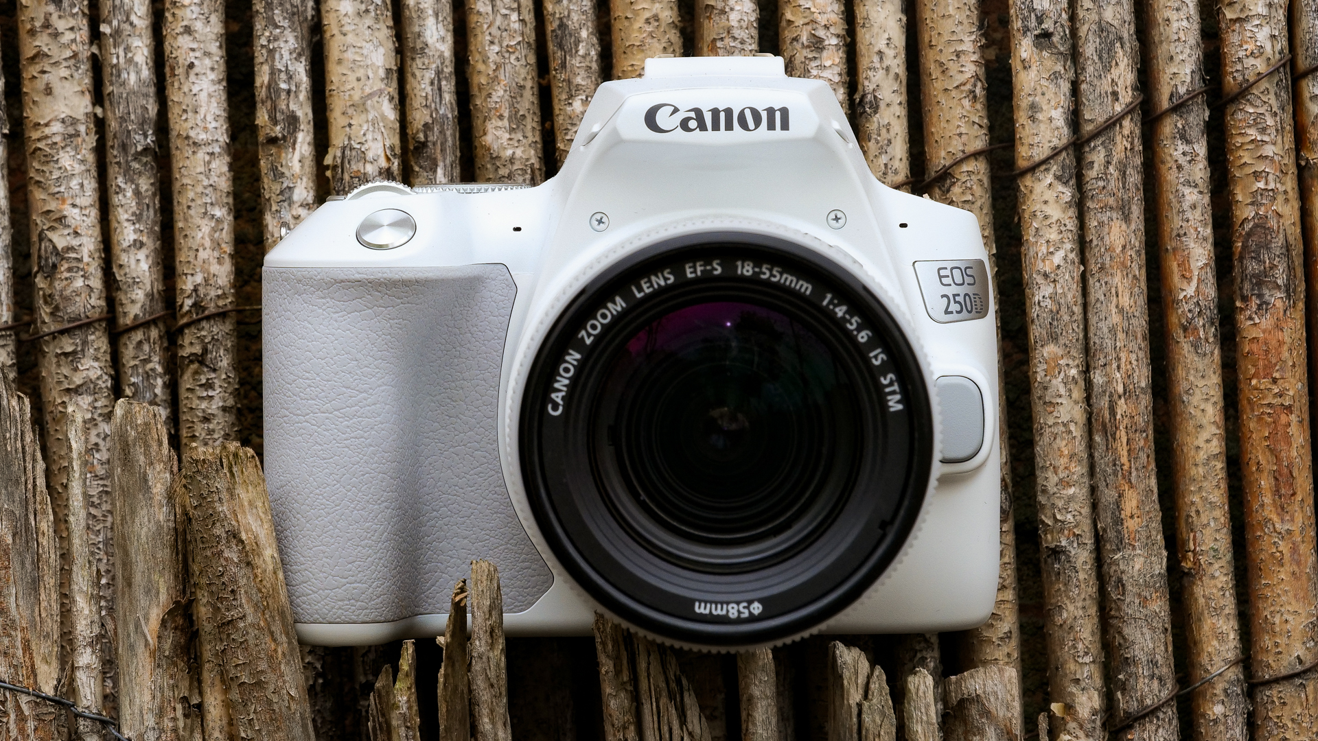 Canon EOS Rebel SL20 / EOS 20D review   TechRadar